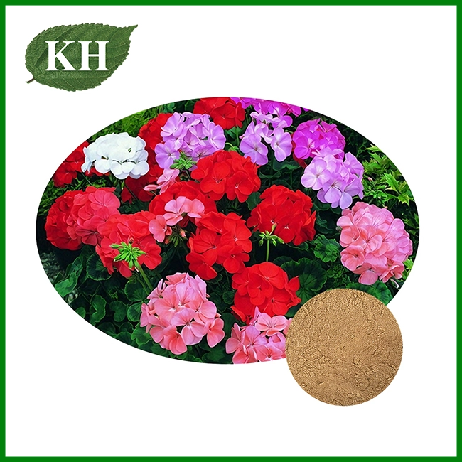 Pelargonium Sidoides Extract